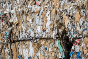 Scopri di più sull'articolo Smaltimento Carta e Cartone